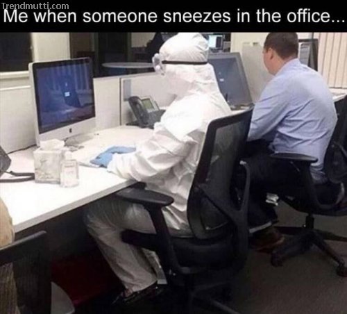 dxdwhi5y.jpg