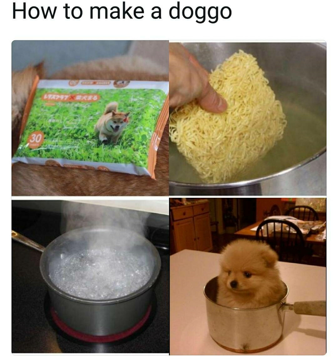 o5jbzbqk.png