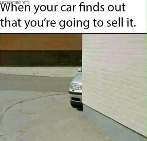 2pyyy8qr.jpg