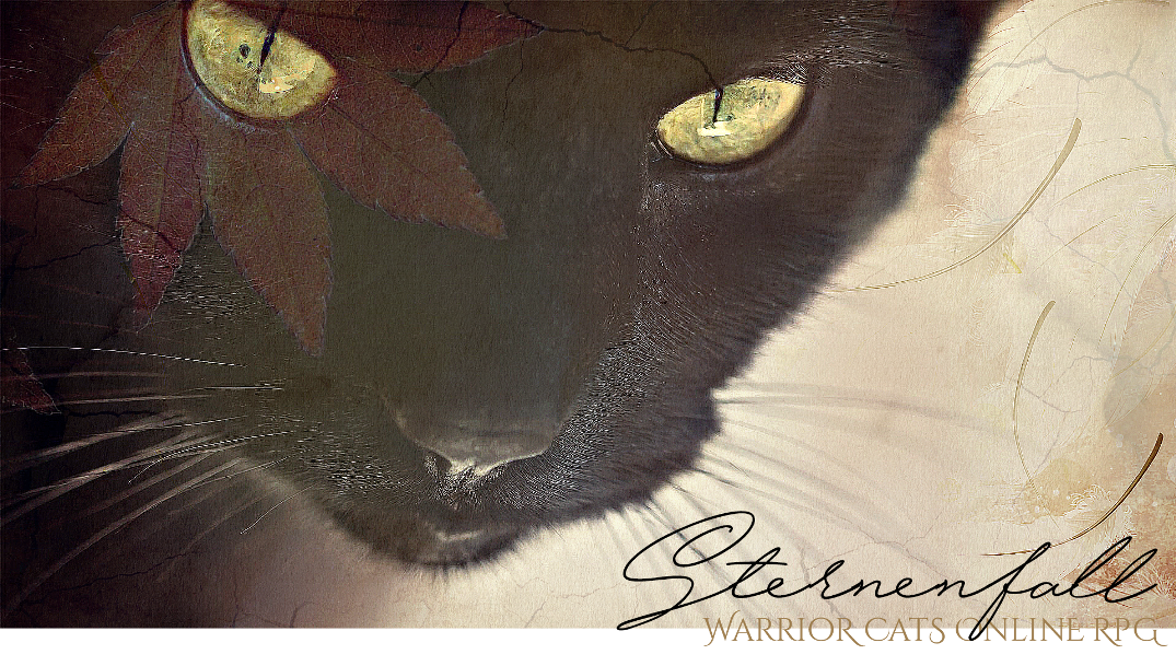 Warrior Cats Online RPG