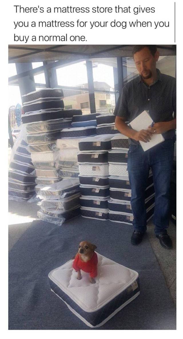 6s4nij6t.jpg