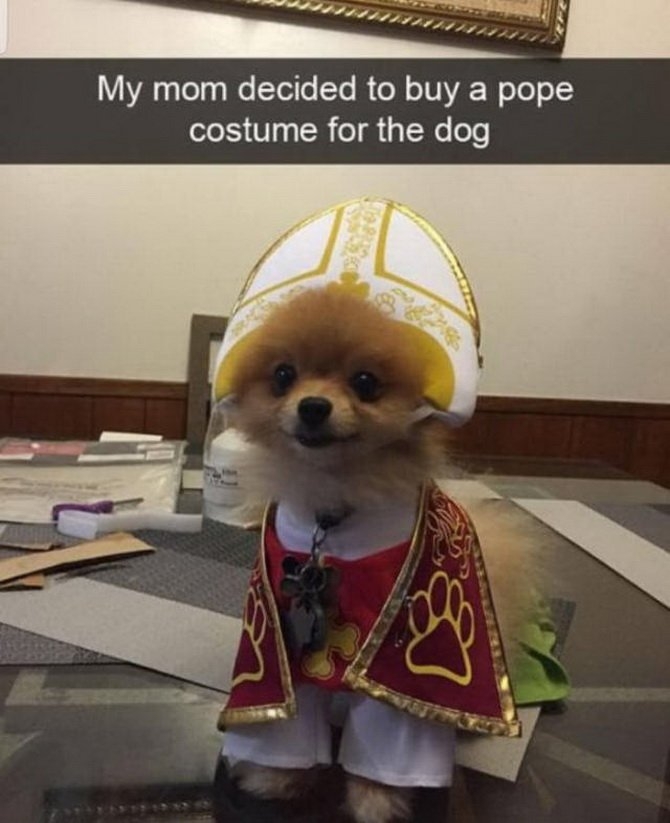 yqp6m4f9.jpg