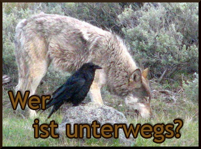 Wer ist online?