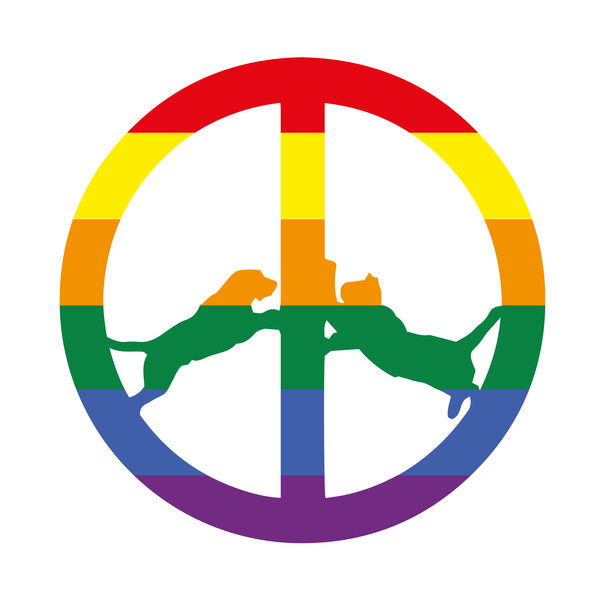 Hype Williams - Rainbow Edition (2017) Hype Williams - Rainbow Edition (2017)