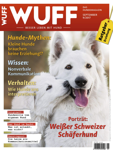 ykh29wkr.png