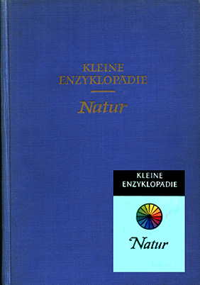 3ojpalqx.jpg