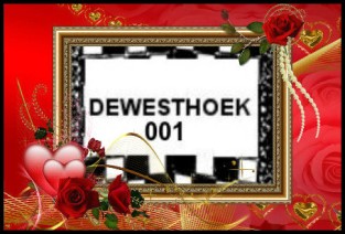 wmvdk55t.jpg