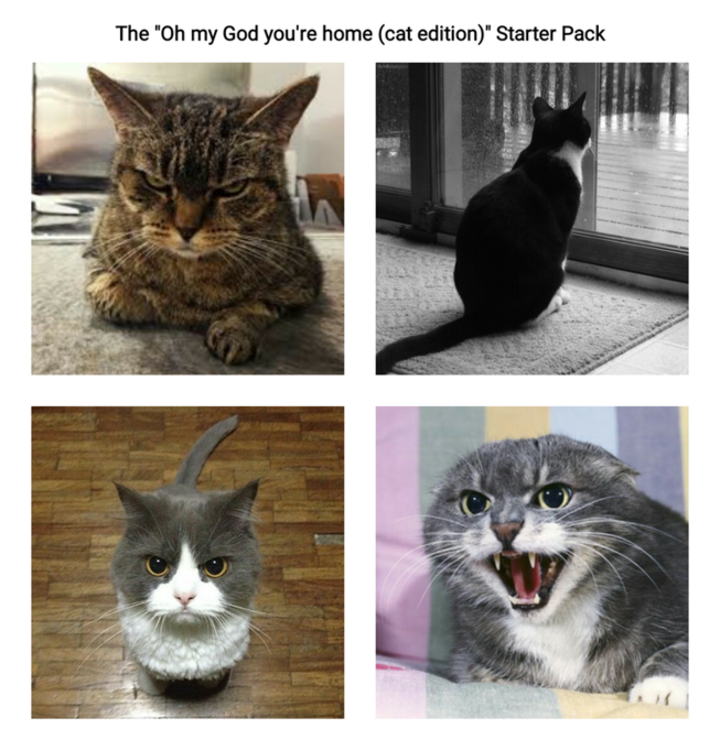 5iyqotnd.png