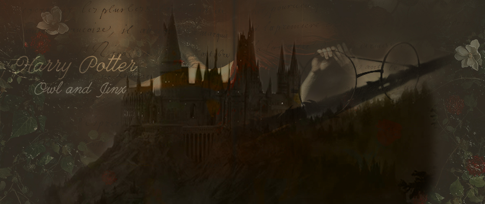 Harry Potter Owl and Jinx