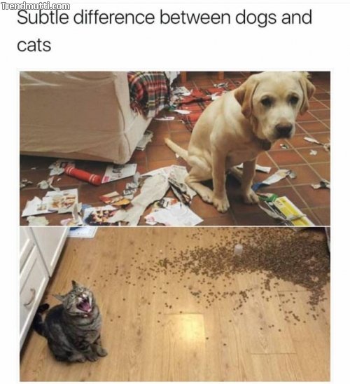 souuduvc.jpg