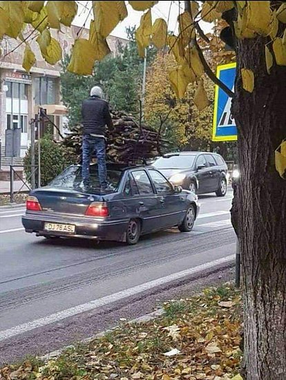 8nbej22f.jpg