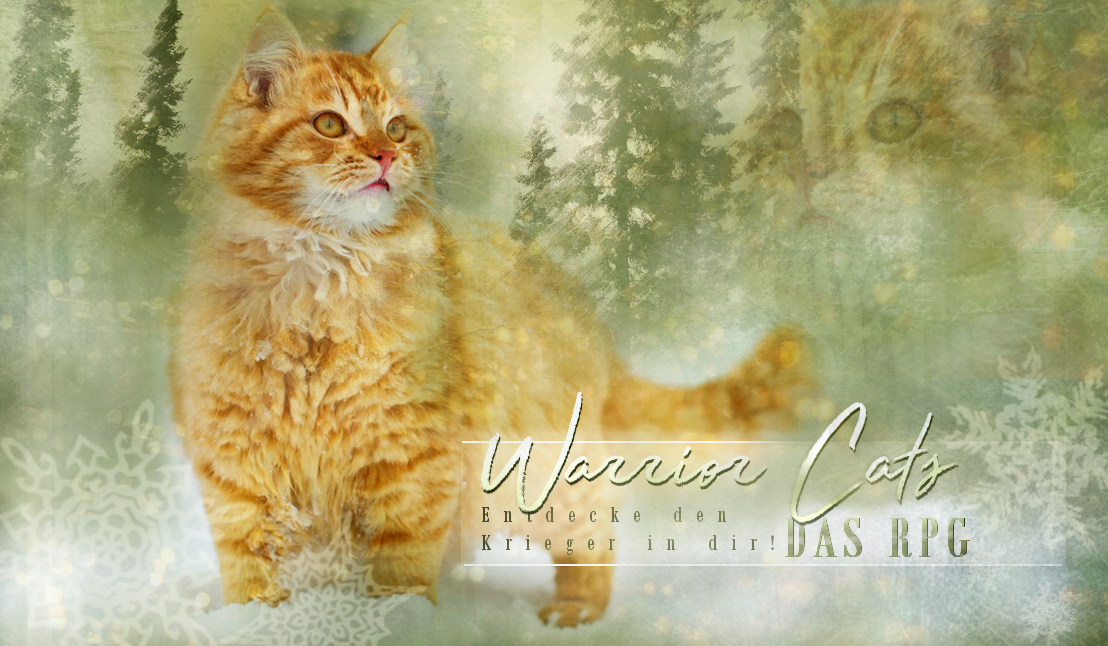 Warrior Cats - das RPG