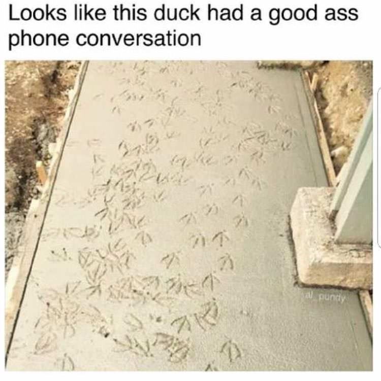 skrppf4e.jpg