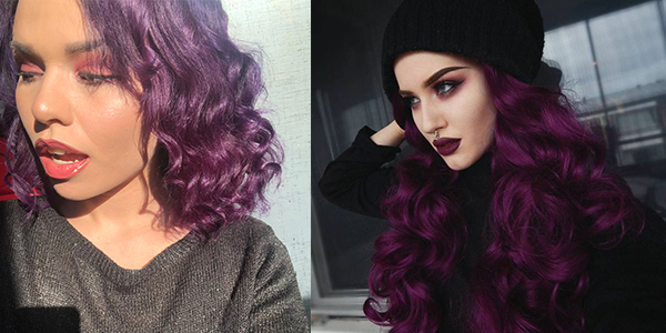 Permanent Warm Purple Hair Colors Forums Haircrazy Com