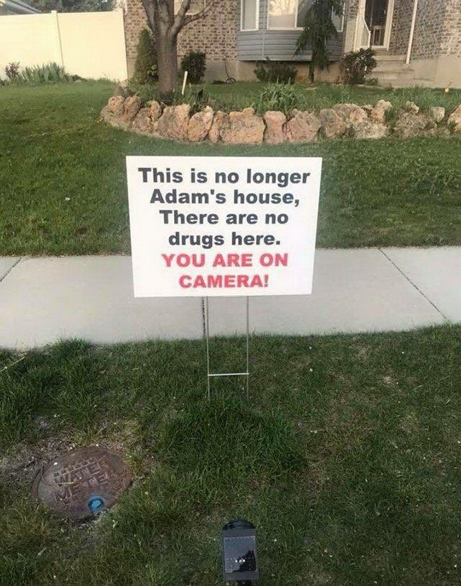 ofvx2gaj.jpg