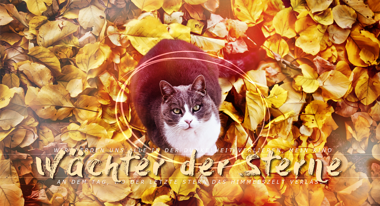 Die Wächter der Sterne