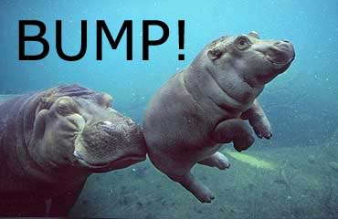 Happy Hippo :D