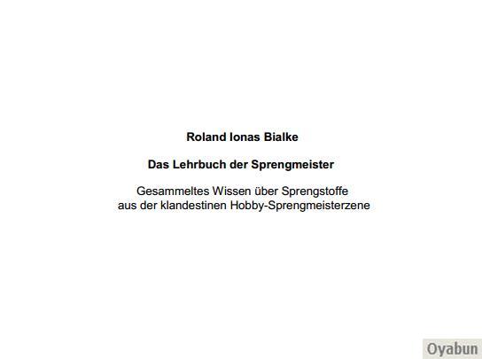 Buch Cover für Das Lehrbuch der Sprengmeister Von Roland Bialke
