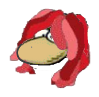 [​IMG]