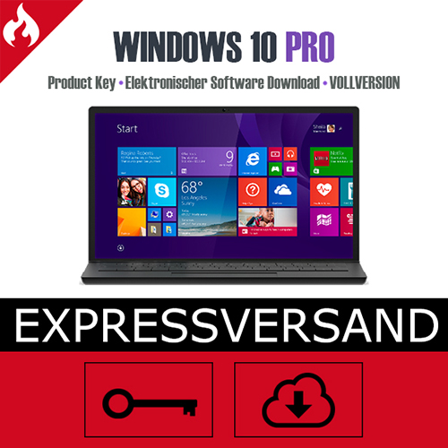 windows 10 pro key kaufen ebay