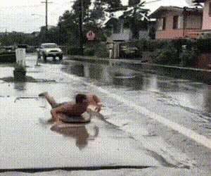 2qhqvl6y.gif