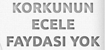 syg72rgz.png