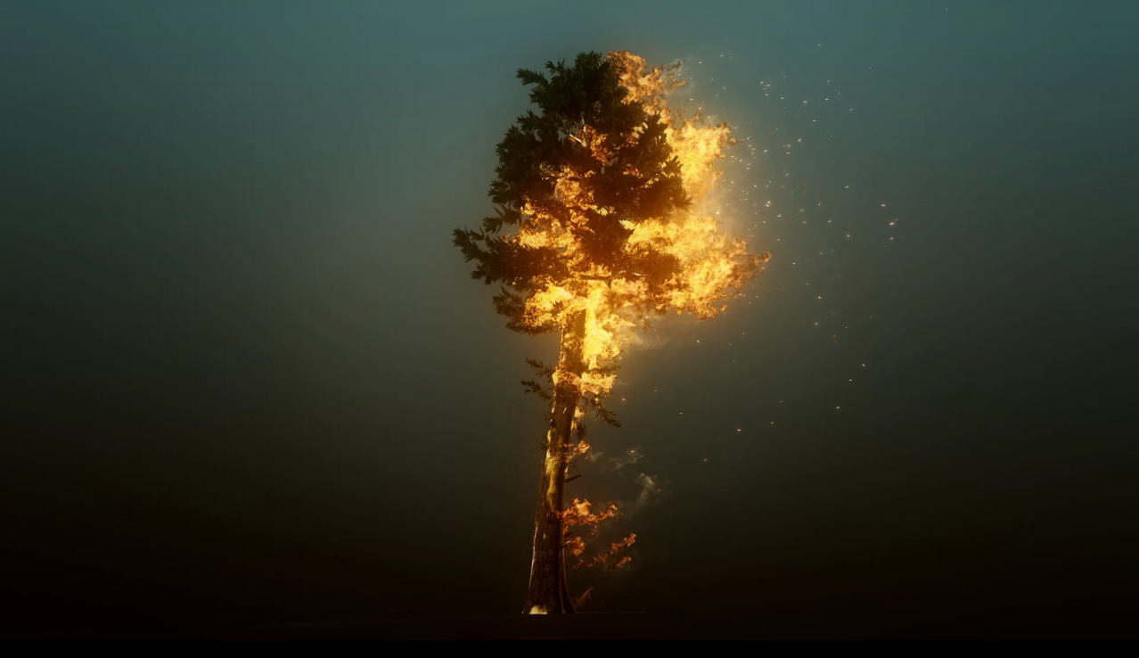 Tree Cold Pyro What are these and how do I save my tree? > General Discussion > AR15.COM