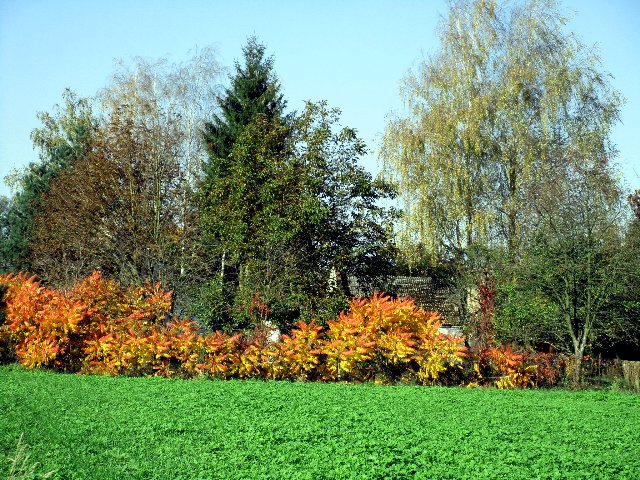 https://fs5.directupload.net/images/171016/ri4ummtl.jpg