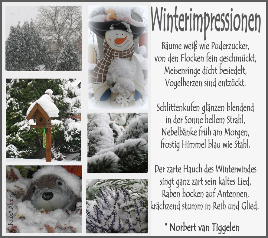 Auch der Winter kann wunderschön sein