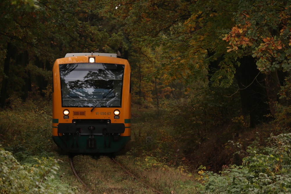 VT 650.67 trilex bei Porajów