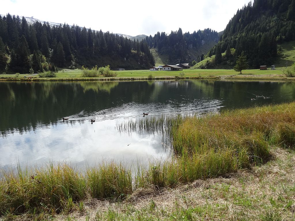 Seblisee