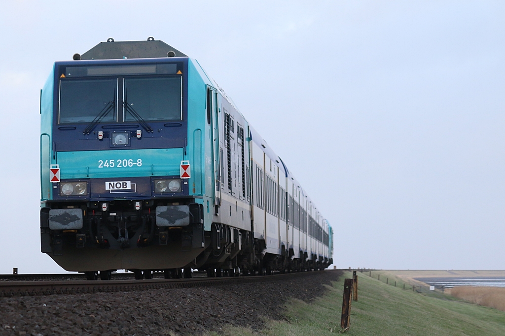 245 206