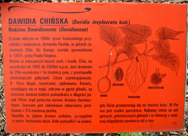 https://fs5.directupload.net/images/user/160419/xtsrpa96.jpg