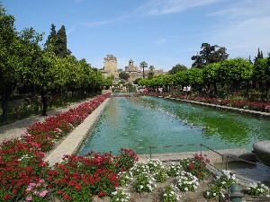https://fs5.directupload.net/images/user/161008/9w9gyiuc.jpg