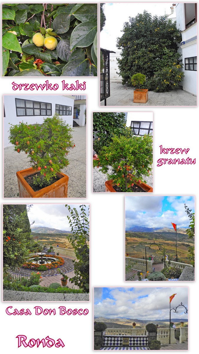 https://fs5.directupload.net/images/user/170405/qhruda3q.jpg