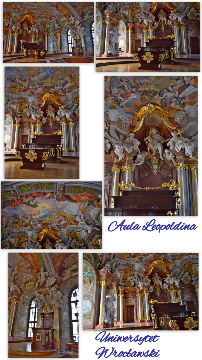 https://fs5.directupload.net/images/user/171004/k5tpt36m.jpg