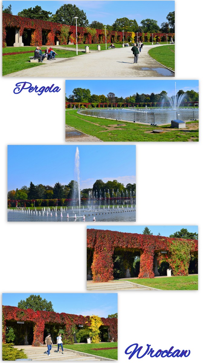 https://fs5.directupload.net/images/user/171017/w54nte2n.jpg